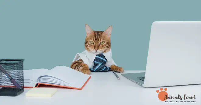 Why Are Bengal Cats Considered Hypoallergenic?