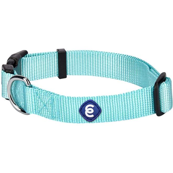 Blueberry Pet Essentials Classic Dog Collar