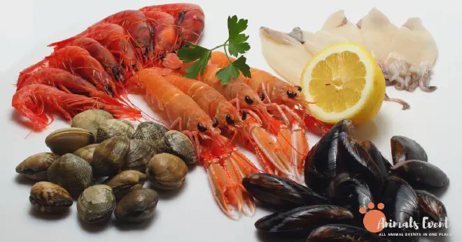 What Other Shellfish Can Cats Eat