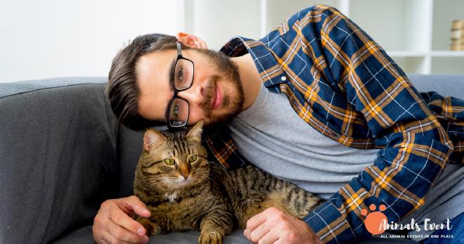 Difference Between A Cat’s Heart And A Human Heart