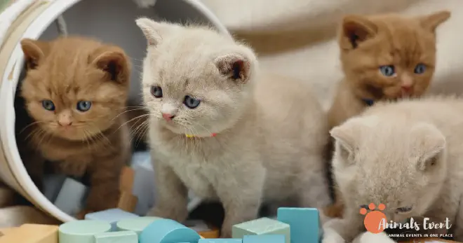 Difference Between Inbreeding and Line Breeding