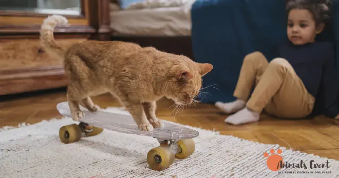 Inbred Cat Personality