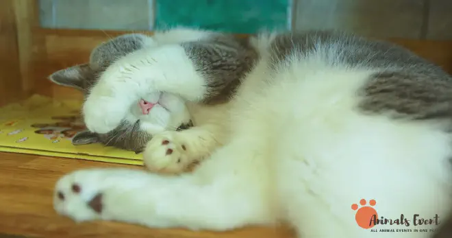 Potential Territory Marking