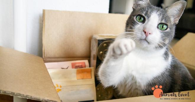 Why These Brands Are Bad